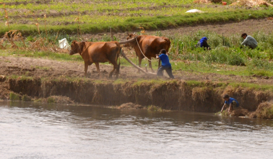 Coastal farm workers and produce